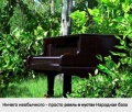 Рояль в кустах.jpg